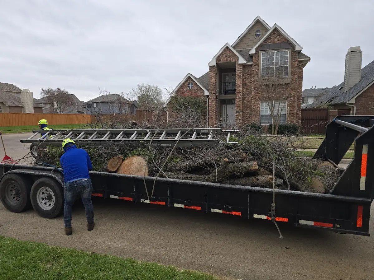 Expert Tree Fertilization with proper safety equipment in Castleton